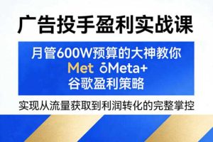 广告投手盈利实战课，月管600W预算的大神教你Meta+谷歌盈利策略，实现从流量获取到利润转化的完整掌控