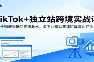TikTok+独立站跨境实战课:全球流量选品投流教学,多平台建站直播矩阵落地打法