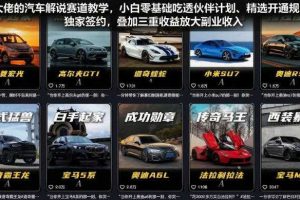 某大佬的汽车解说赛道教学,小白零基础吃透伙伴计划、精选开通规则、独家签约,叠加三重收益放大副业收入