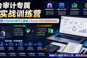 财会审计专属AI实战训练营|AI协同编程+Python审计工具箱+Excel VBA加载项落地(更新0710)