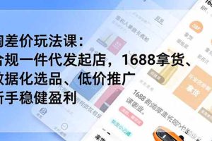 (19466期)淘差价玩法课:合规一件代发起店,1688拿货、数据化选品、低价推广,新手稳健盈利(更新7月)